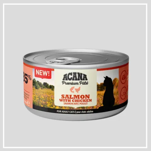 cibo umido per cani