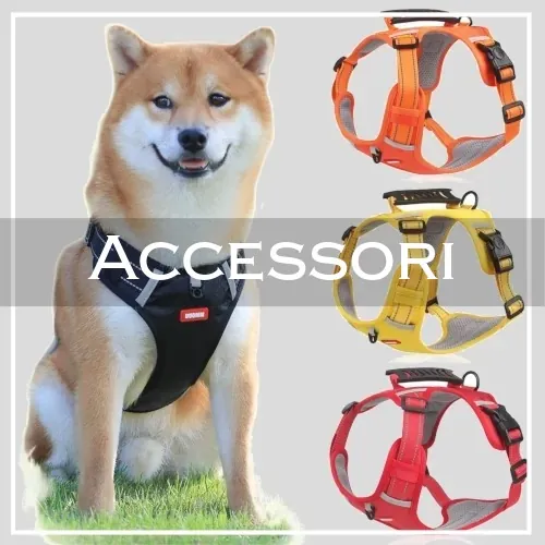 Accessori 3