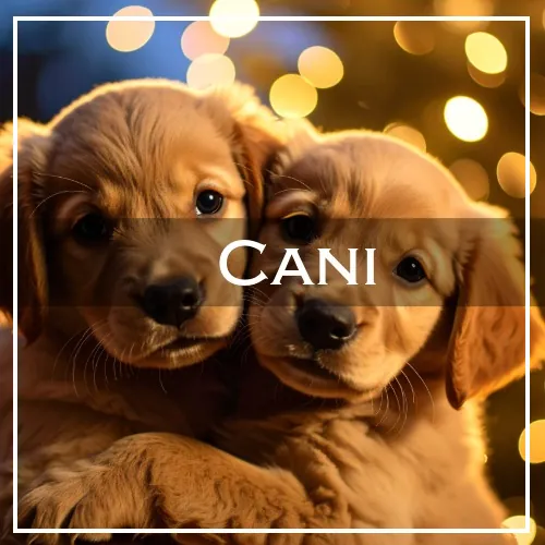 cani caption