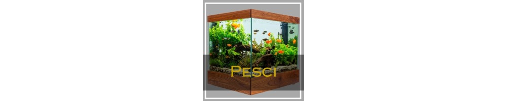 Tutto per i pesci dall'acquario alla cura dei piccoli nuotatori