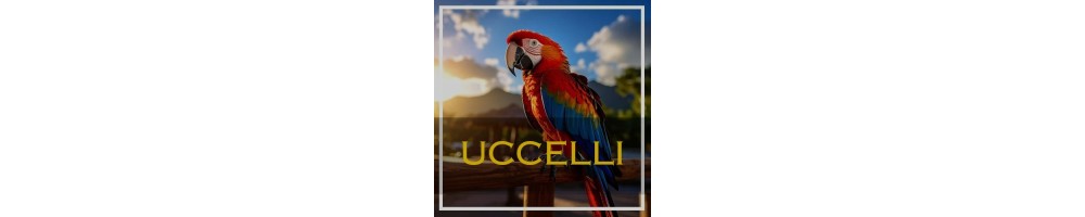 Totto per gli uccelli